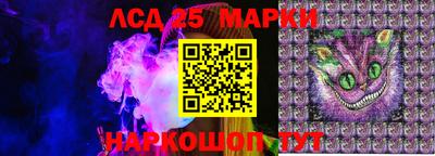 мяу мяу мука Кандалакша