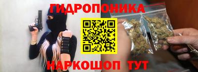 мяу мяу мука Кандалакша