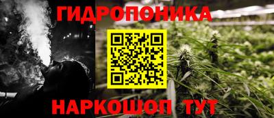 мяу мяу мука Кандалакша