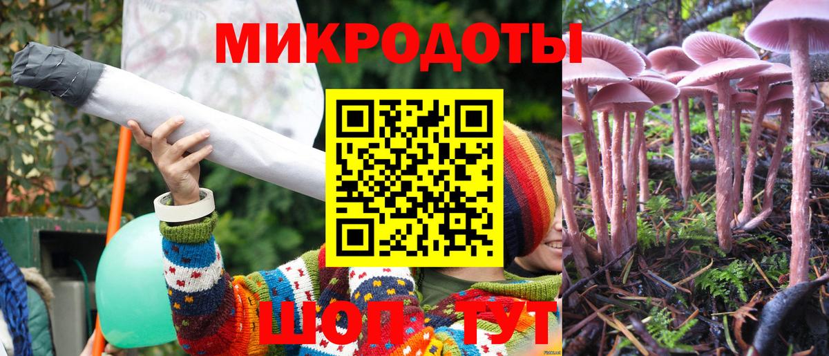 Галлюциногенные грибы MAGIC MUSHROOMS  Вход с VPN  Кропоткин  Псилоцибиновые грибы Magic Shrooms 